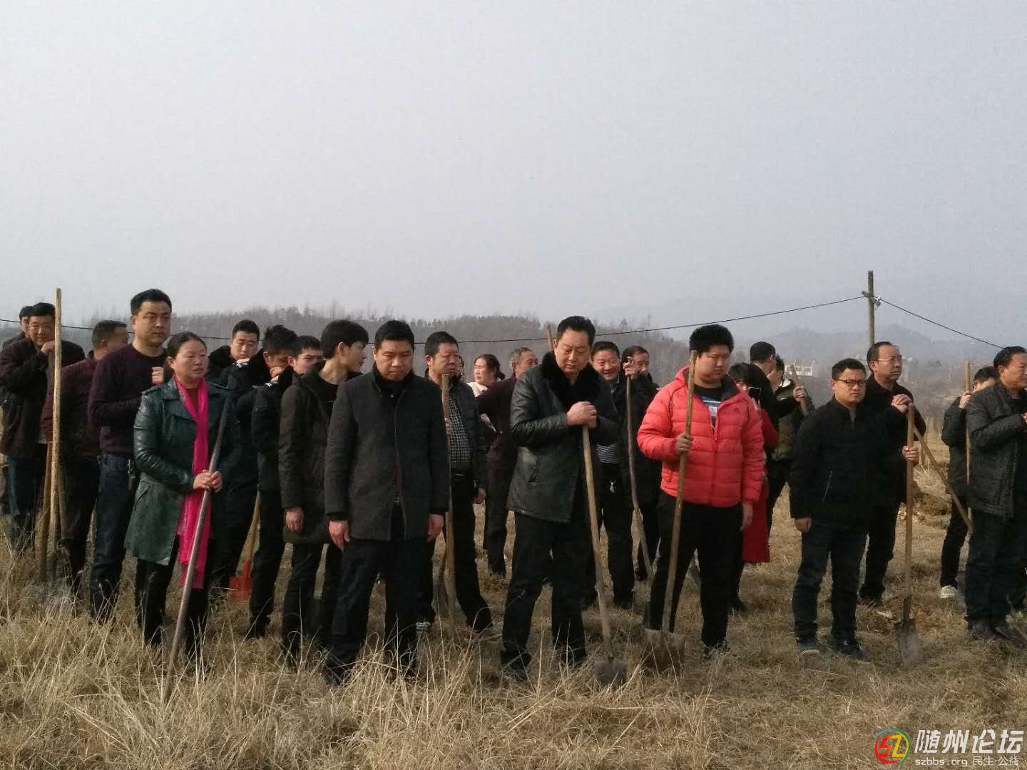 樹.jpg